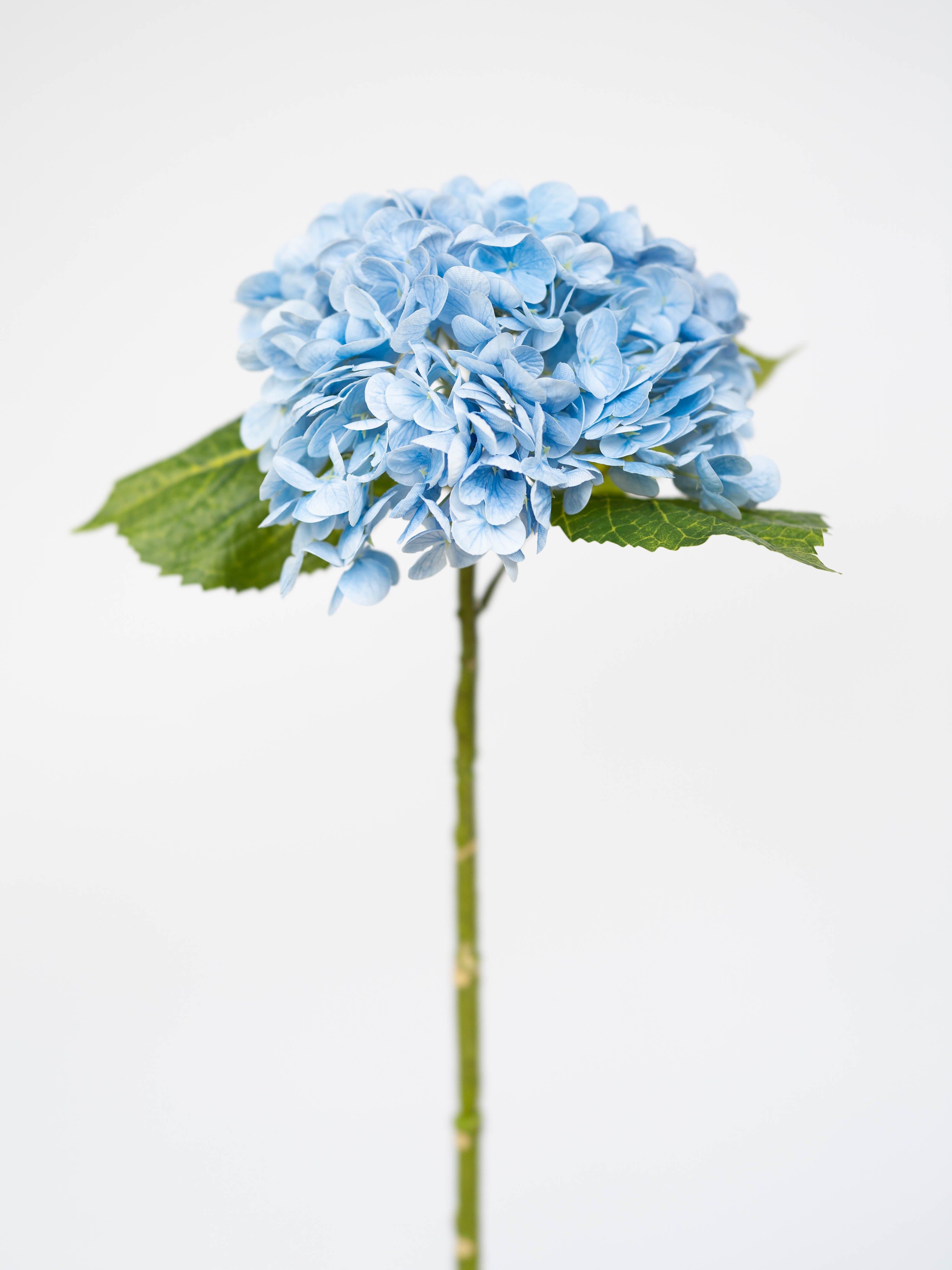Real Touch Blue Hydrangea - Wreathe