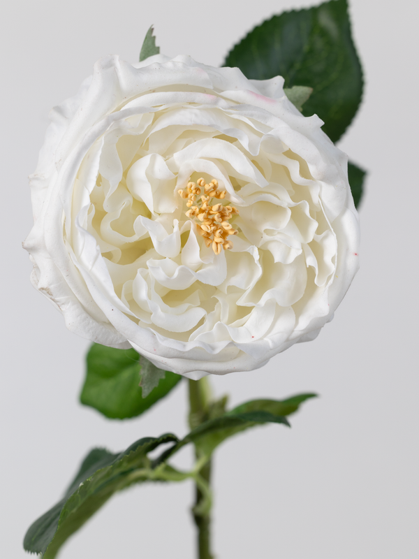 Englsih Roses Fake Artificial English Rose in White - Wreathe