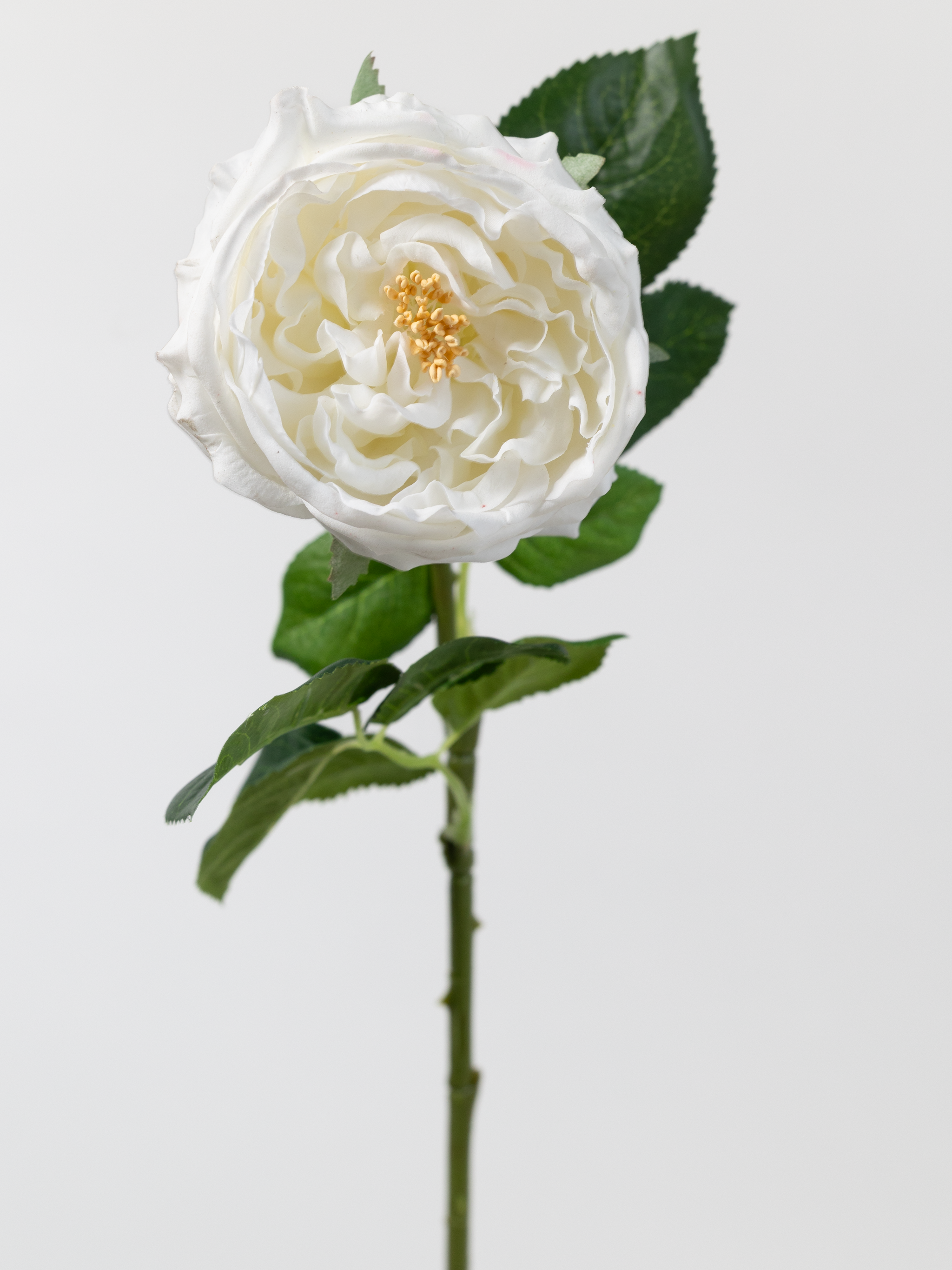 Englsih Roses Fake Artificial English Rose in White - Wreathe
