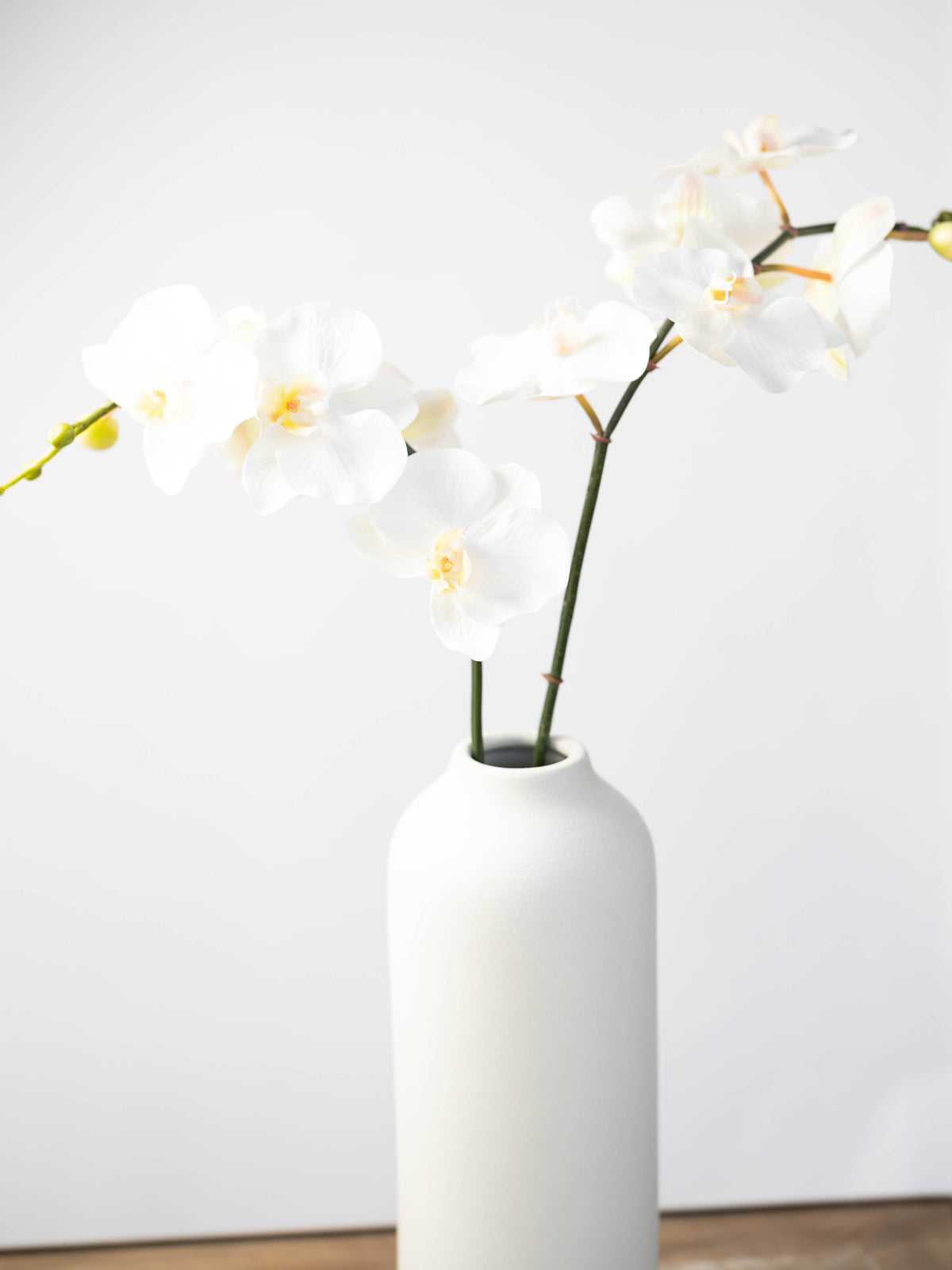 Real Touch Phalaenopsis Orchid in White