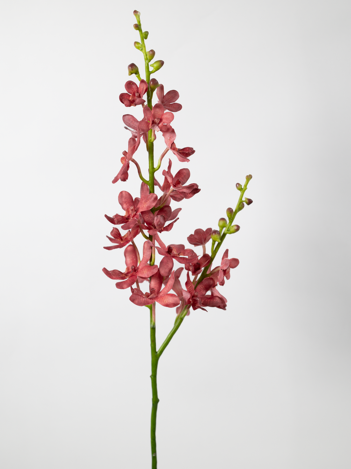 Faux Dendrobium Orchid Stem in Raspberry Red