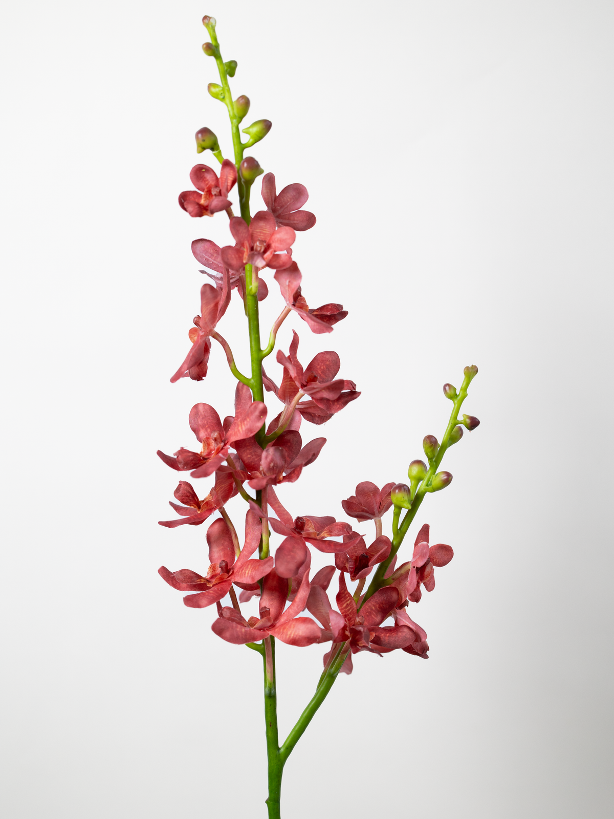 Faux Dendrobium Orchid Stem in Raspberry Red