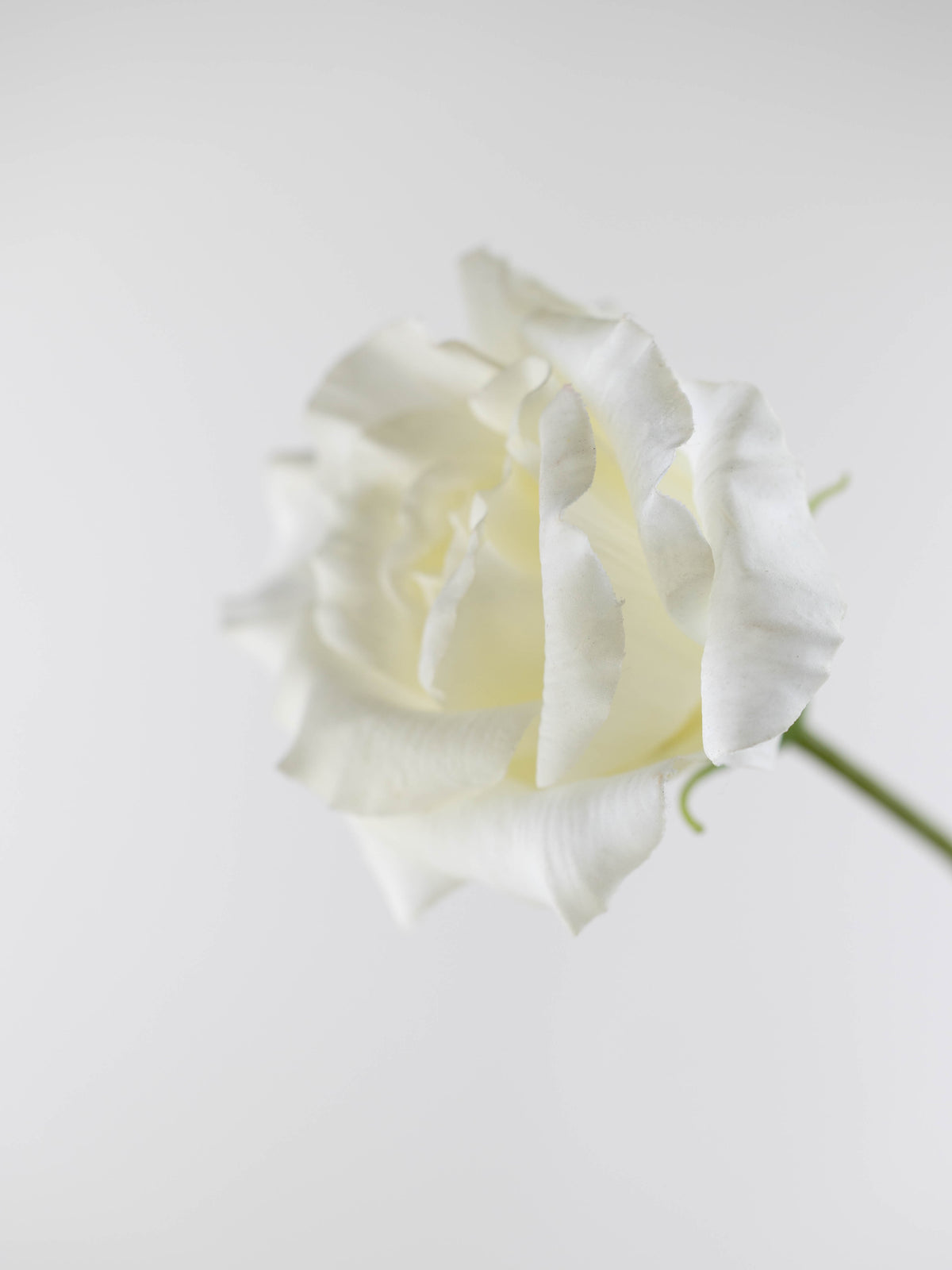 Real Touch White Lisianthus Flower